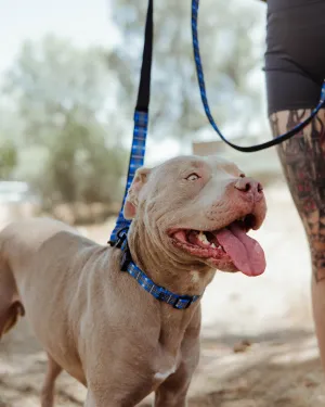 Polyester Dog Leash - Aruba