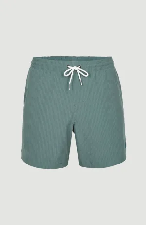 Vert Camorro 16'' Swim Shorts | North Atlantic